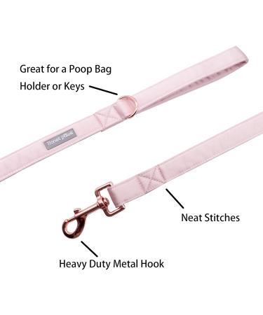 Lionet Paws Dog Leash - Silk Leash for All Dog Sizes | Matching Collars in Pink for Boys & Girls | Ideal XS Dog Leash (Pack of 1) - Buy Online on GoSupps.com