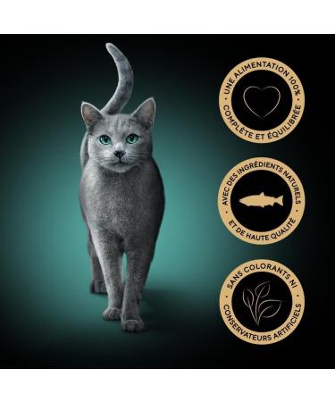 Sheba Perfect Portions for adult cats Trays Wet food Luxury salmon terrine 6x37 PACK OF 8 - Buy Online on GoSupps.com