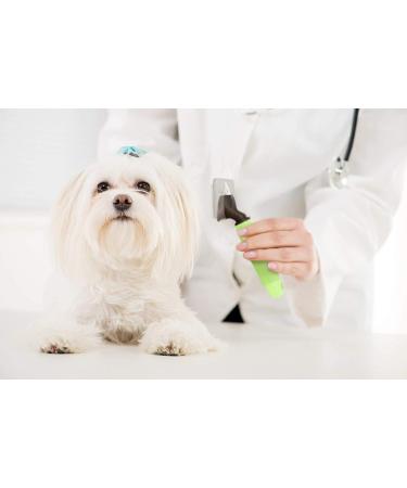 Slicker Dog Brush for Shedding Short & Long Hair - Cat & Dog Grooming Supplies | Deshedding Tool for Single or Double Coated Pets - Undercoat Rake for Small Dogs - Buy Online on GoSupps.com