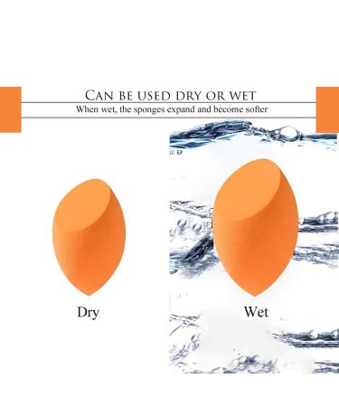 Rose Gold Oval Makeup Brushes Set with Blending Sponge and Cleaner - Buy Online on GoSupps.com