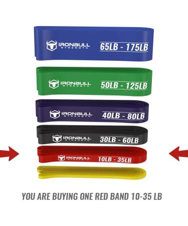 Premium Pull Up Assist Band - Heavy Duty Stretch Resistance Bands for Powerlifting & Mobility - 10 to 35 lb - Ideal for Any Pull-Up Station - Buy Online on GoSupps.com