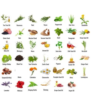 Power Of Nature Rapid Strength Growth Hair Oil | Natural Hair Regrowth & Loss Treatment - All Hair Types - Thicker Fuller Longer Stronger Hair (2 oz - Buy Online on GoSupps.com