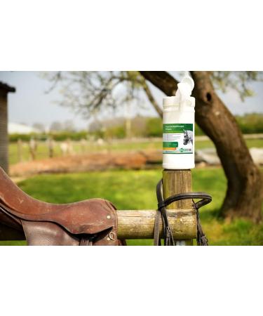 Aqueos Anti-microbial Multi-Use Disinfectant and Tack Wipes White - Buy Online on GoSupps.com