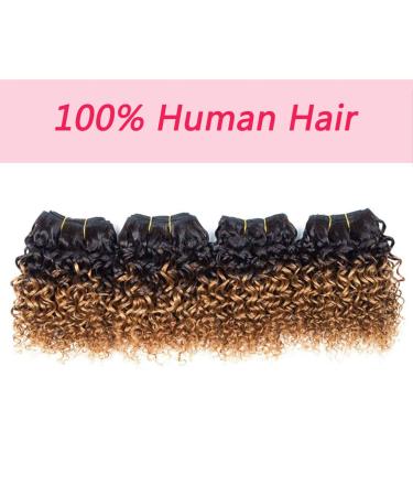 Kinky Curly 8 Inch Human Hair Bundles - 1B/30 Brazilian Virgin Hair - 50g/Bundle - 4 Bundle Pack | Curly Hair Extensions - Buy Online on GoSupps.com