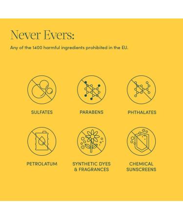 Evereden Nourishing Stretch Mark Cream 4.0 fl oz | Clean & Unscented Pregnancy Skincare | Natural Plant-Based Formula - Buy Online on GoSupps.com