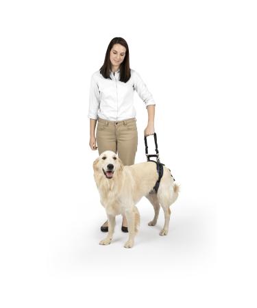 PetSafe CareLift Hip Lifting Harness for Dogs Lifting Aid with Handle and Shoulder Strap for Hip Support Size LL Hip Harness