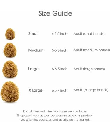 Naroa Natural Sea Sponge for Exfoliating Bath | Unbleached Body Scrubber Puff | Eco-Friendly Reneweable Sponge for Men & Women | Medium Size - Buy Online on GoSupps.com
