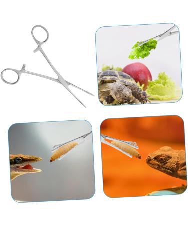 SEWOART Reptile Feeding Clip Lizard Stuff Reptile Tools Gecko Tool Stainless Steel Silver - Buy Online on GoSupps.com
