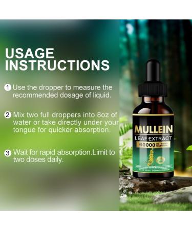 Mullein Drops for Lungs - Lung Cleanse Powerful Mullein for Immune Support Detox & Respiratory Support Mullein Leaf Extract for Lungs Herbal Supplements - 2 Fl Oz Green - Buy Online on GoSupps.com