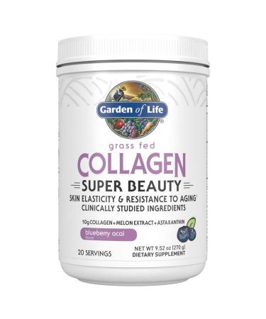 Garden of Life Grass Fed Collagen Super Beauty Blueberry Acai 9.52 oz (270 g) - Buy Online on GoSupps.com