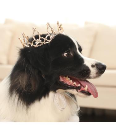 Shop Lovlyyshop Palle Collection - Gilded Royal Saury Pearls Hair Accessories for Dogs & Cats | Extra Large Sizes - Buy Online on GoSupps.com