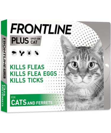 FRONTLINE Plus for Cats & Ferrets - 1 Pipette Flea & Tick Treatment (8 Weeks+) | Cat & Ferret Flea Treatment - Buy Online on GoSupps.com
