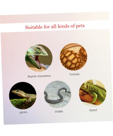 POPETPOP 5pc Mini Digital Reptichip Celsius Meter Round Humidity Temperature Gauge Hygrometer Indoor Humidity Reptile Pet Temperature Meter Celsuis Glass Moisturizer Electronic Black 4.5X1.5CM - Buy Online on GoSupps.com