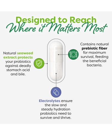 Probulin Total Care Probiotic Supplement Daily Gut Digestive and Immune Health Probiotics Capsules for Men and Women 20 Billion CFU Vegan 30 Count Bottle - Buy Online on GoSupps.com