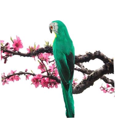 TOYANDONA 5pcs Ornament Bird Artificial Vivid Feathered Green Statue for Supply Figure Home Lifelike 20x5cmx5pcs Greenx5pcs - Buy Online on GoSupps.com