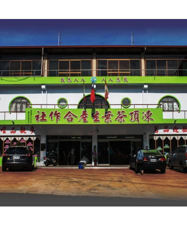 Dong Ding Oolong Tea Medium Roast Premium Selected Taiwanese Tea 150g x 4 Packs (600g Total) - Buy Online on GoSupps.com