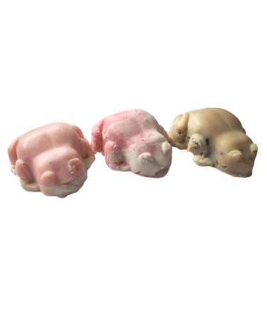 Shop WFG Waterfall Glen Franken Frogs Vegan Soap Bars - Box of 3 Assorted Designs | Eco-Friendly International Shipping - Buy Online on GoSupps.com