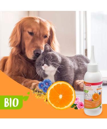 Buy Beaphar Bio Tear-Free Lotion for Dogs & Cats | 99% Natural Eye Irritation Relief | Ecocert Paraben-Free pH-Neutral | 100 ml - Buy Online on GoSupps.com