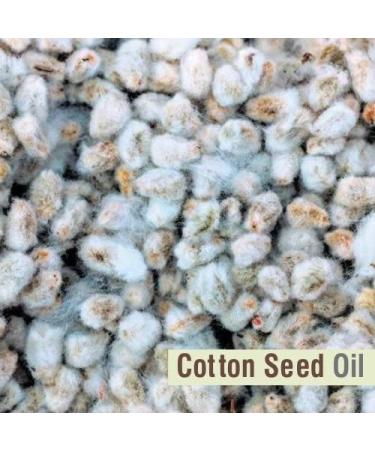 Cotton Seed Oil 100% Pure & Natural - 30 ML | Aromatherapy & Therapeutic Grade Carrier Oil - Buy Online on GoSupps.com