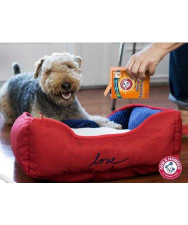 Arm & Hammer Baking Soda 6 Count 500g - Buy Online on GoSupps.com