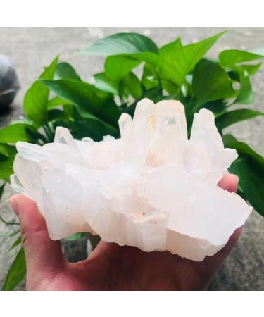 Crystal 200g-2000g Rough Natural Clear Geode Quartz Cluster Crystal Stone 1pc Suitable for Home Office Decoration Full of Texture (Color : 320g-450g 1pc) - Buy Online on GoSupps.com