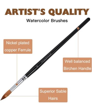 Sable Watercolor Brushes Professional  Fuumuui 8Pcs Kolinsky Sable Brush Set Variety Shapes with Flat  Round Pointed  Cat's Tongue Oval Wash Perfect for Watercolor Acrylic Gouache Inks Painting - Buy Online on GoSupps.com