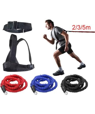 2/3/5m Fitness Equipment Double Resistance Band Training Pull Rope Stretch Rope Track Field Running Explosive Force Jumping (Color : D Size :) der2 (White Dinosaur Doodle4) - Buy Online on GoSupps.com