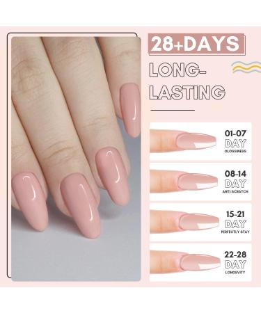 Makartt 50ML Poly Nail Gel Builder Gel Kit - White, Pink, Nude, Clear Rosy Gel for Technician Starter DIY Salon Design - Clear+A Siesta - Buy Online on GoSupps.com