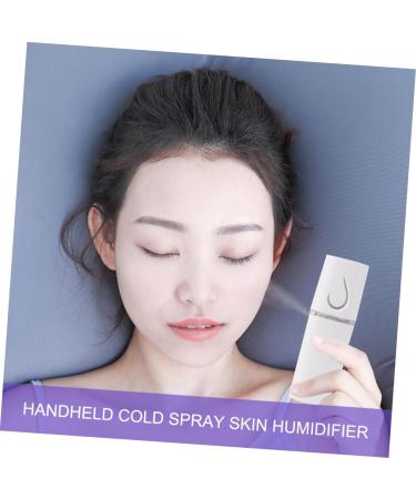 BIUDECO 2 Pcs Nano Mist Sprayer Steamer Face Moisturizing Sprayer Mini Face Humidifier Hunidifier White - Buy Online on GoSupps.com