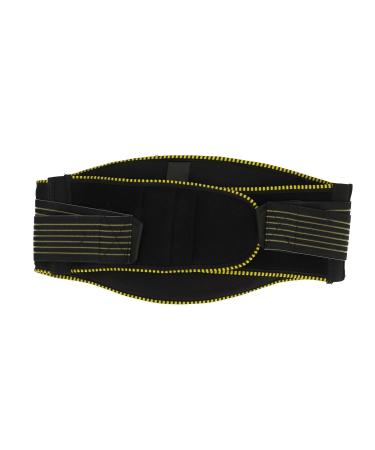 Pomya Motorcycle Back Brace | Impact Resistant Lumbar Belt for Off Road Riding | Lightweight & Breathable (Small 13.5x18.5cm - Buy Online on GoSupps.com