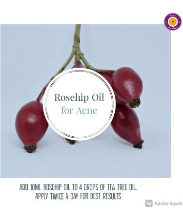 Pure Rosehip Seed Oil with Glass Dripper - 100ml x 2 Cold-Pressed & Therapeutic Quality - DEve Herbes - Buy Online on GoSupps.com