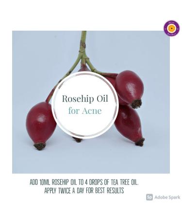 d ve herbes Pure Rosehip Oil (Rosa rubiginosa) Cold Pressed 5ml (0.16 oz) 0.16 Fl Oz (Pack of 1) - Buy Online on GoSupps.com