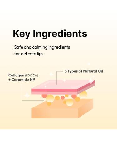 De:maf Demaf Gloss Balm Moisturizing Hydrating Lip Gloss Balm Sheer Tint Buildable Colour Glossy Shine Non-Sticky Long-Wear Lip Plumper Clean Beauty for Sensitive Lips (Cozy Rosy 0.12 oz) Cosy Rosy 0.12 Ounce (Pack  - Buy Online on GoSupps.com