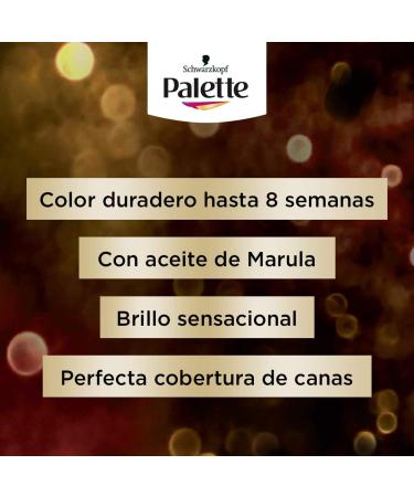 Tinte Schwarzkopf Palette Intense Color Cream n 1.1 Negro Azulado - Buy Online on GoSupps.com