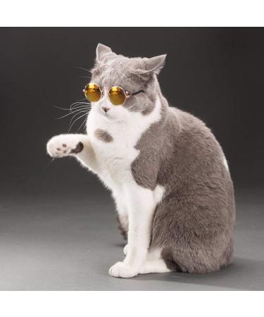 Dog Cat Glasses Teddy Small Dog Sunglasses British Short Cloth Doll Sunglasses Puppy Jewelry Pet Supplies Adorable Quality and Practical Nice - Buy Online on GoSupps.com