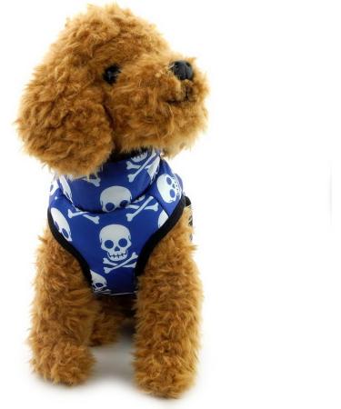 Shop Pegasus Winter Coat for Dogs & Cats | Warm Windproof Jackets for Chihuahua Dachshund & Puppies - Blue Skull Design - Buy Online on GoSupps.com