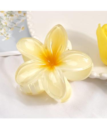 MiDoDo Hawaiian Flower Hair Clips for Women 4 Pack Flower Hair Claw Clips Plumeria Claw Clips for Thin Hair Large Claw Clips for Thick Hair Beach Tropical Hair Accessories for Girls Colorful - Buy Online on GoSupps.com