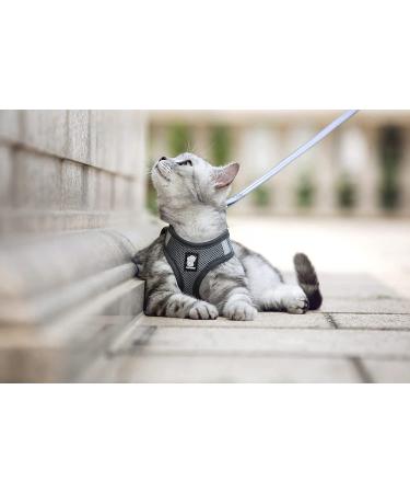 Escape Proof Cat Harness and Leash Set - Adjustable Reflective Vest for Small, Medium, Large Kittens - Silver Grey - Buy Online on GoSupps.com