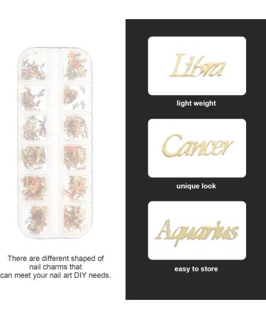 minkissy 5boxes Constellation Nail Charm Nails Designed Diy Word of Ladies Art for Decors As Decorations Twelve Constellations Shown Girls D Ornaments and Zodiac Charms Message - Buy Online on GoSupps.com