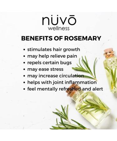 Organic Rosemary Oil Blend for Hair Growth - Infused with Jojoba Oil - Canadian Product (3 Pack) - 0.33 Fl Oz - Buy Online on GoSupps.com