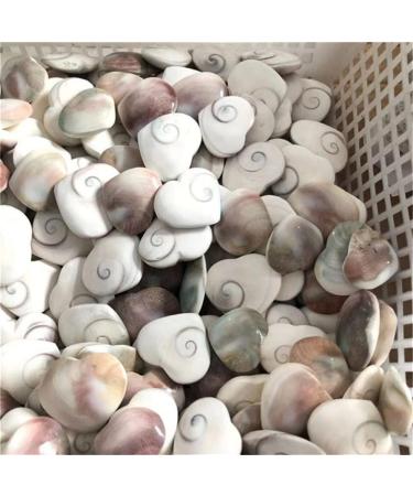 White Shell Heart Natural Stones Minerals Crystals GemsReiki for Home Decoration NaturalReiki Decoration Full of Texture 30-40mm 1pcs - Buy Online on GoSupps.com