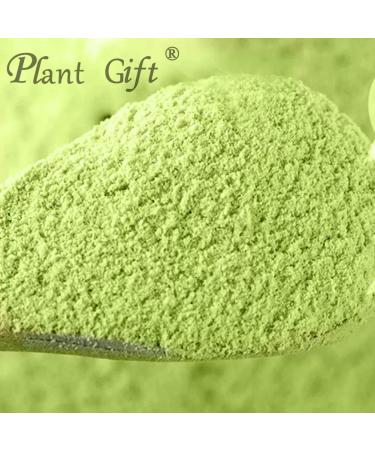 Plant Gift 100% Celery Powder 100G/3.25oz Non-GMO Powder No Filler No additives Natural Chinese Flour Adds Flavor and Taste Great Flavor for Drinks 2UK-PO0081 - Buy Online on GoSupps.com