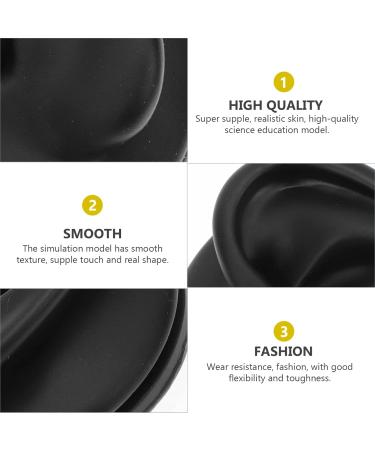 Frcolor 2-Pack Silicone Ear Models for Presentation - Medical Ear Simulation & Earrings Display Stand (6.5x6.5cm) - Food Grade Quality - Buy Online on GoSupps.com
