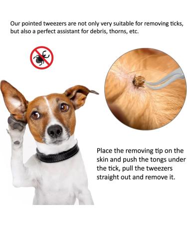 My AR store Professional Tick Tweezers for Dogs/Cats/Horses/Humans 3 Pcs Painlessly Tick Remover for Humans and Cats Pets - Buy Online on GoSupps.com