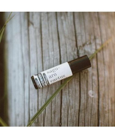 BROKEN TOP - Roll On Perfume | Essential Oil Perfume | with MCT Jojoba & Essential Oil Eau de Parfum | Natural Vegan (Saguaro Cactus) - Buy Online on GoSupps.com