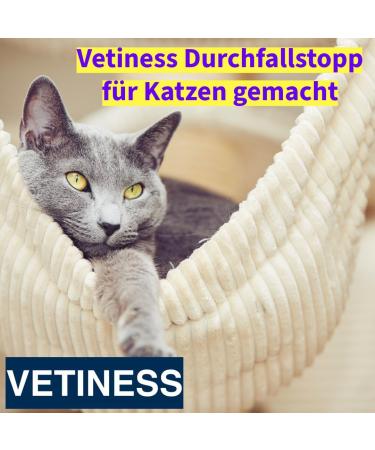 Vetiness Diarrhea Paste 15ml for Dogs & Cats | Acute Diarrhea Relief | Probiotics for Dogs & Cats under 15kg | Supports Diarrhea & Vomiting - Buy Online on GoSupps.com