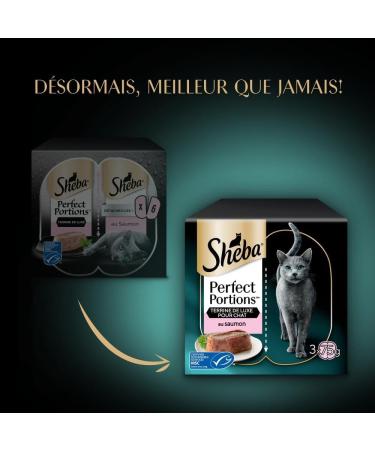 Sheba Perfect Portions for adult cats Trays Wet food Luxury salmon terrine 6x37 PACK OF 8 - Buy Online on GoSupps.com