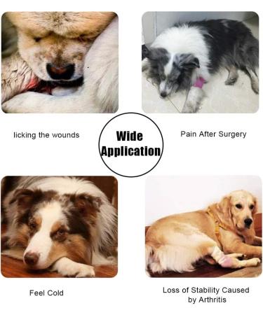 Pssopp Dog Elbow Brace with Reflective Straps Elbow Guard Helps with Ligament Injuries Sprains and Loss of Stability Caused by Arthritis(S) - Buy Online on GoSupps.com