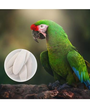 Large Sepia Bowls for Birds Turtles and Snails - Set of 6 | Ideal for Reptiles - Buy Online on GoSupps.com