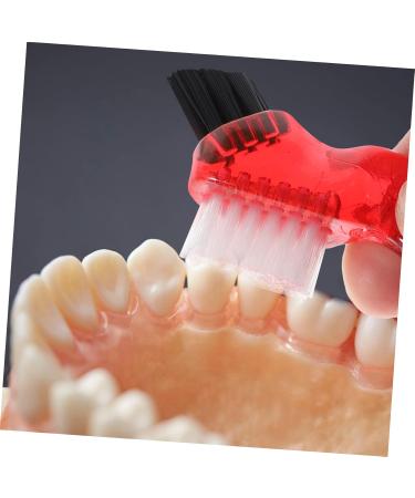 Solustre 4-Piece Toothbrush Prosthesis Set - Portable Oral Care & Hygiene Cleaning Brushes for Women - Buy Online on GoSupps.com